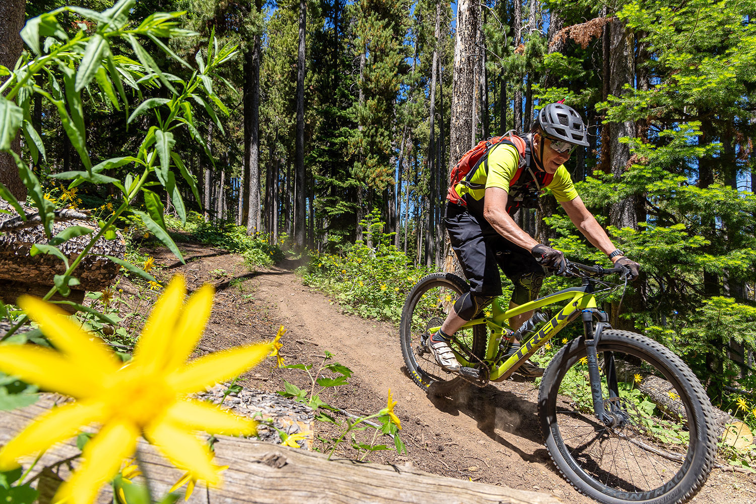 Mountain biker rides a winding singletrack trail through a forest of tall pines and wildflowers at Pomerelle Mountain Resort.