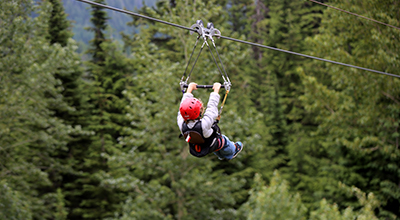 Schweitzer - summer season
